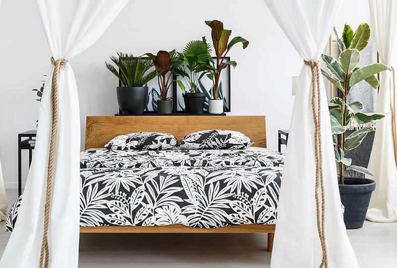 Grand Suite com Estacionamento Gratuito